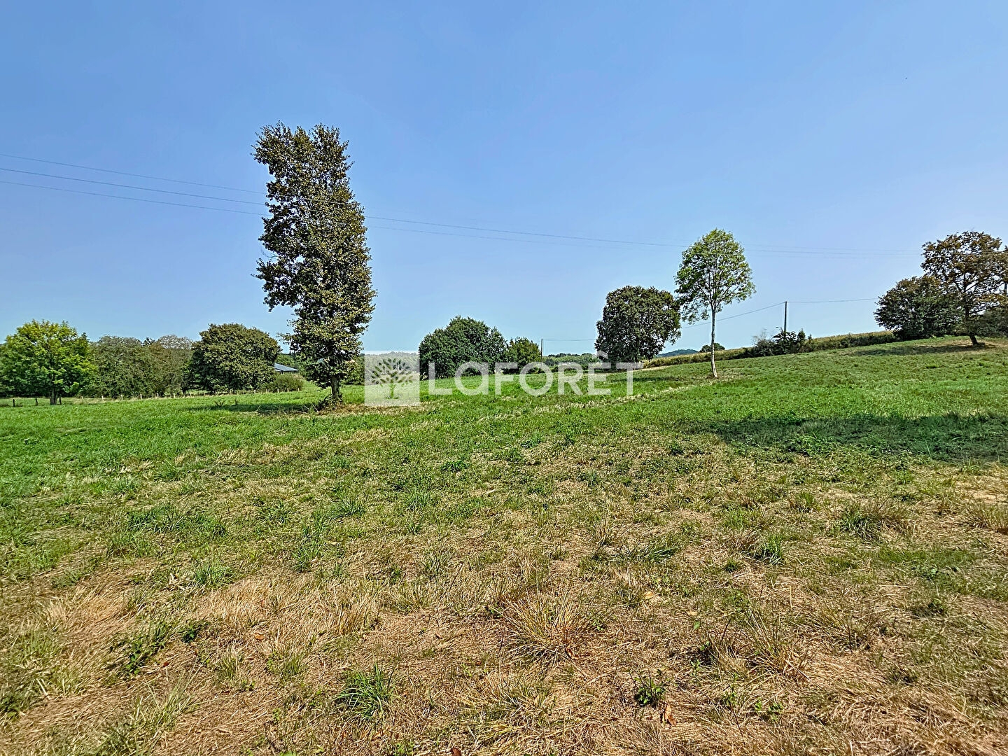 Terrain à vendre - 13905m2 - Orthez (64300)