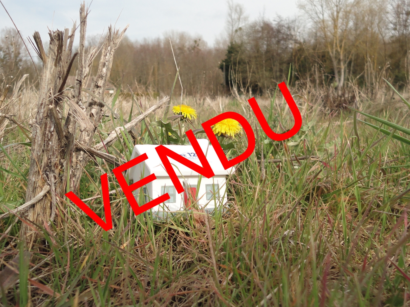 Terrain constructible de 1290m2