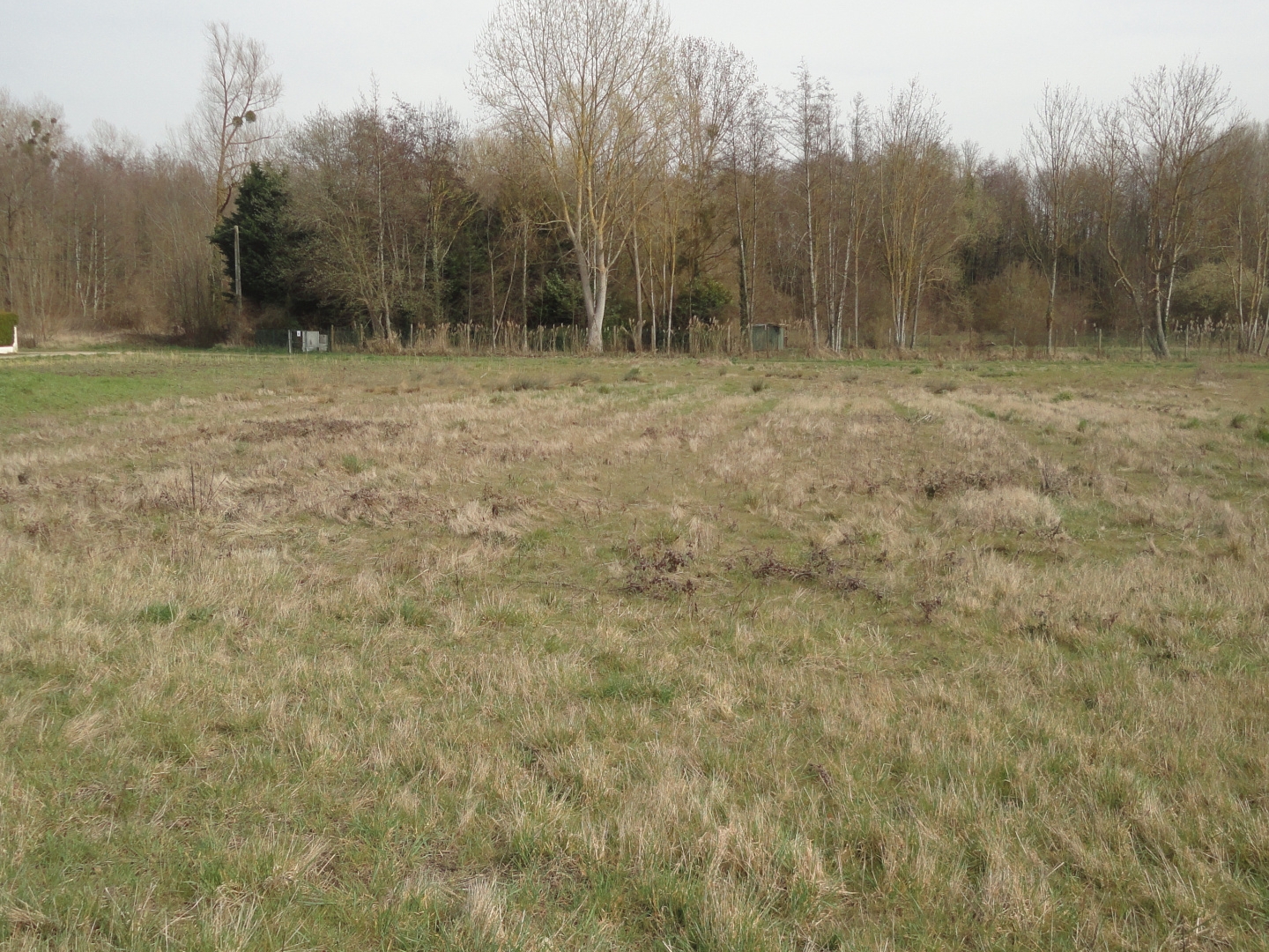 Terrain à vendre - 1290m2 - Valravillon (89113)