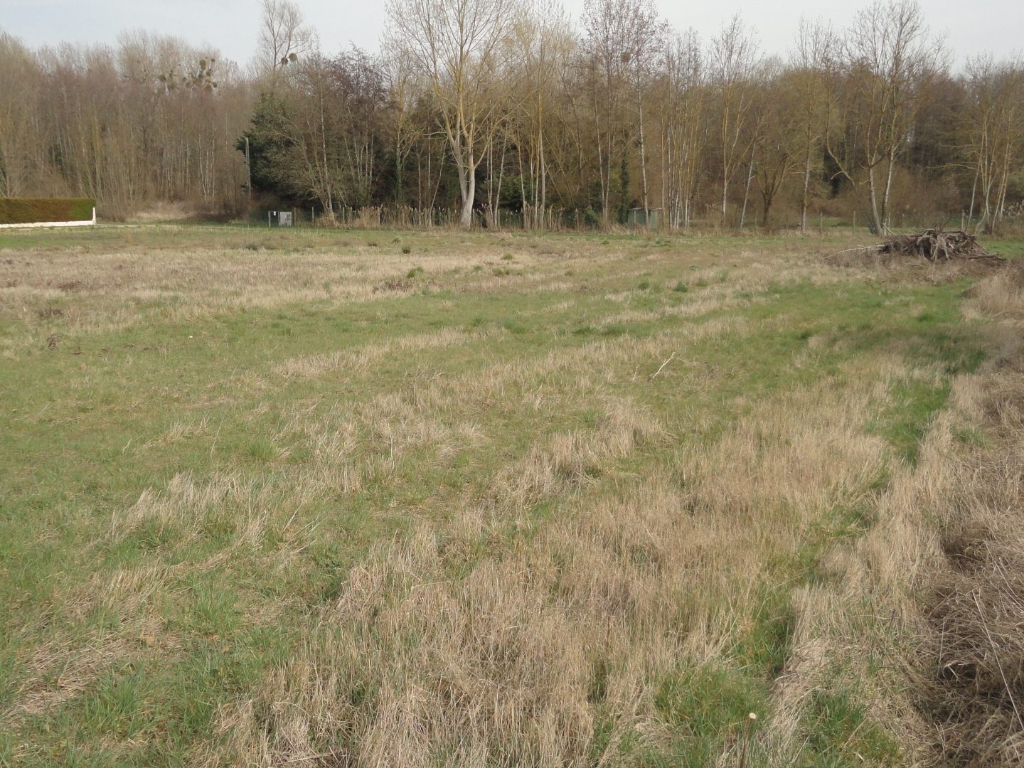 Terrain à vendre - 1290m2 - Valravillon (89113)