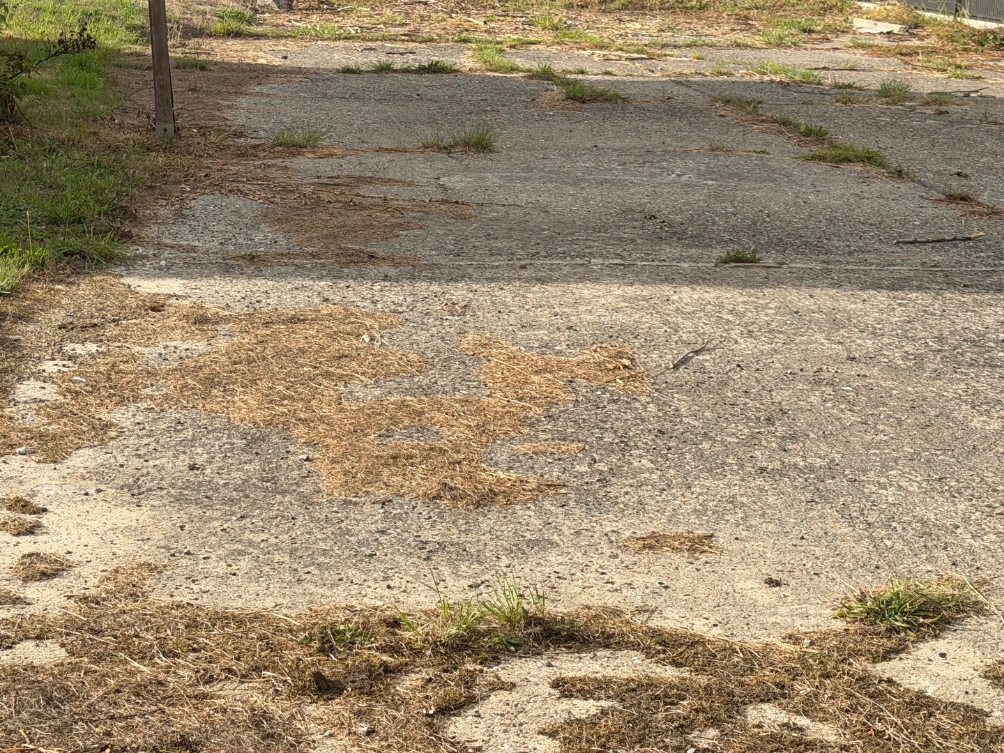 Terrain 500 m²