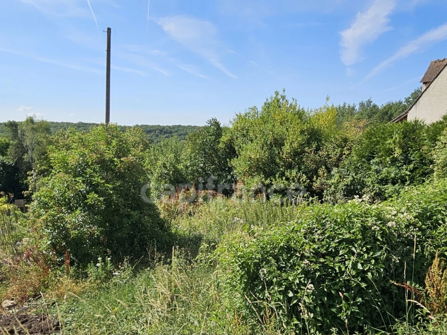 Terrain 978 m²