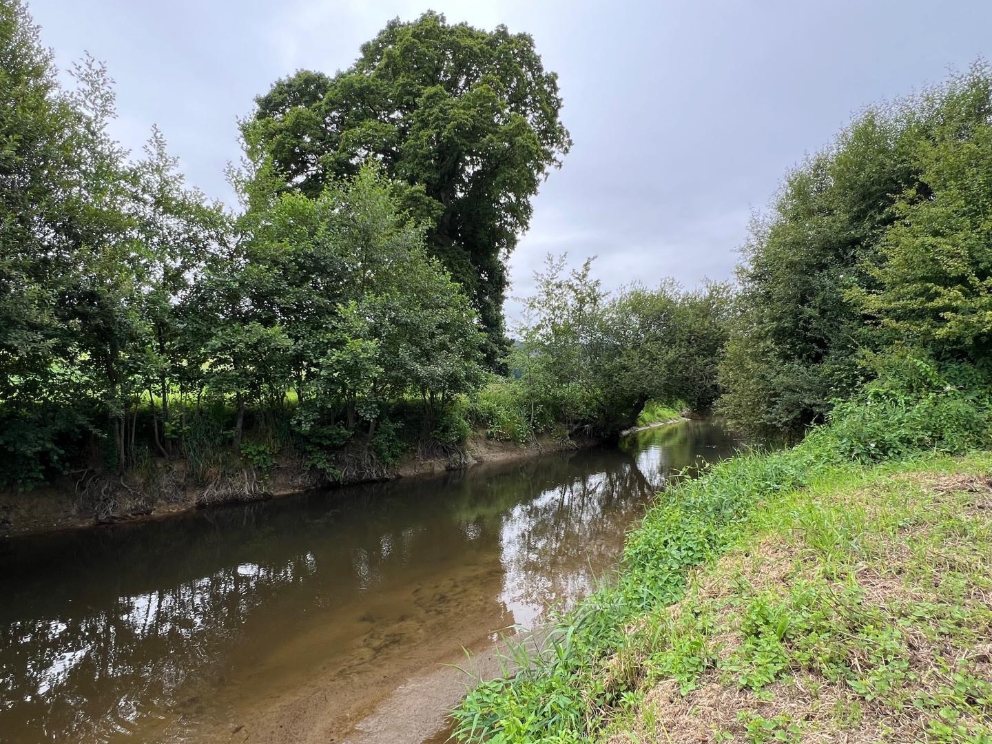 Terrain à vendre - 21422m2 - Ponts (50300)