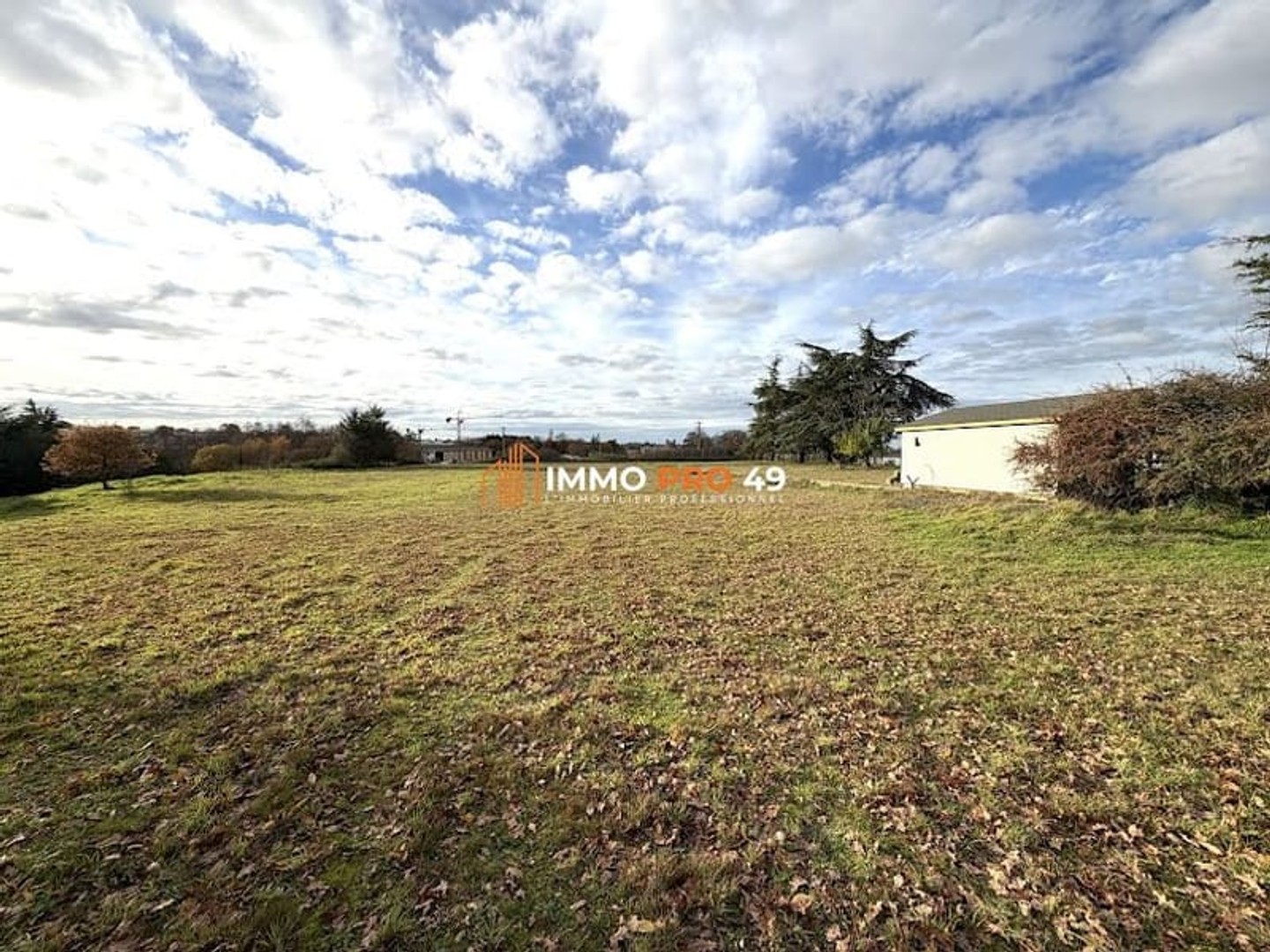 Terrain à vendre - 8285m2 - Mortagne-Sur-Sèvre (85290)