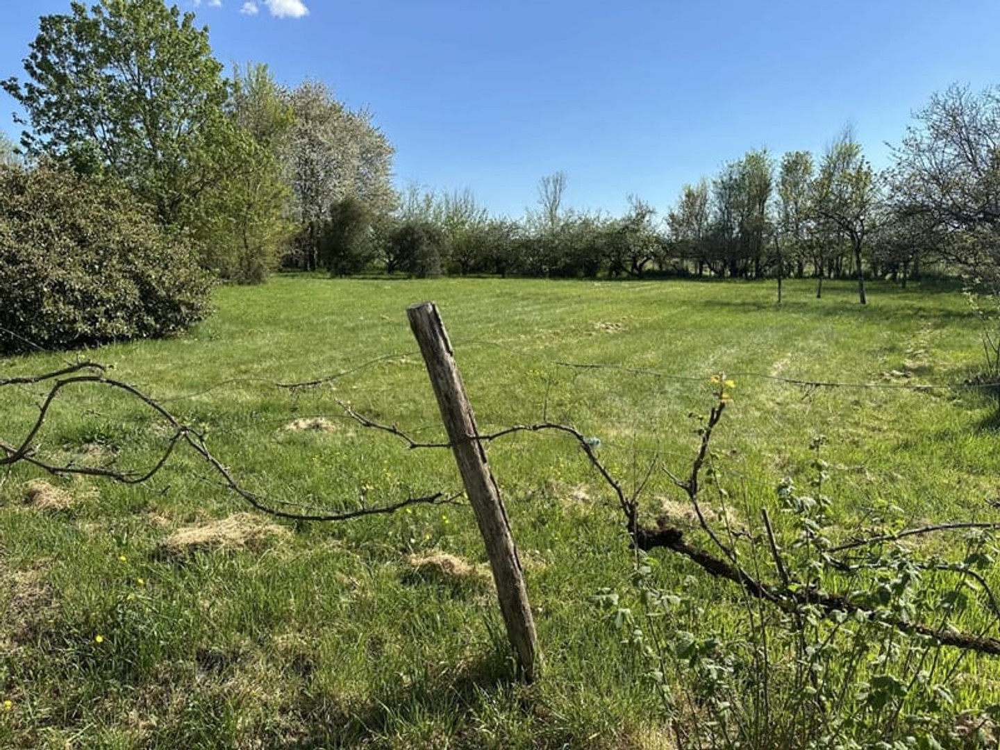 Terrain à vendre - 2916m2 - Saint-Maurice-La-... (86160)