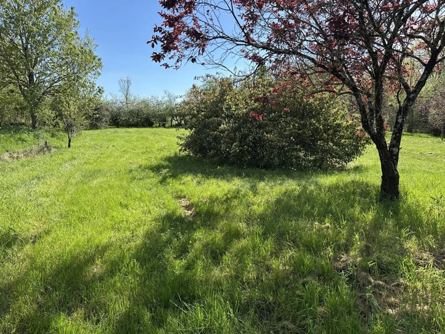 Terrain à vendre - 2916m2 - Saint-Maurice-La-... (86160)