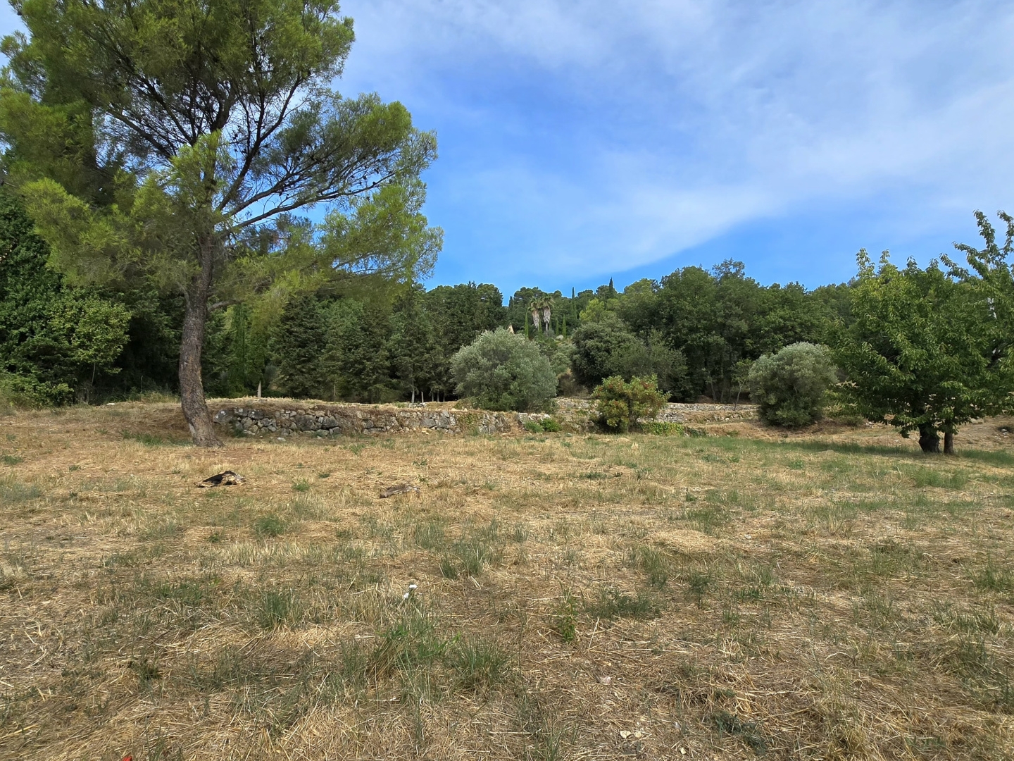 Terrain à vendre - 8350m2 - Fayence (83440)