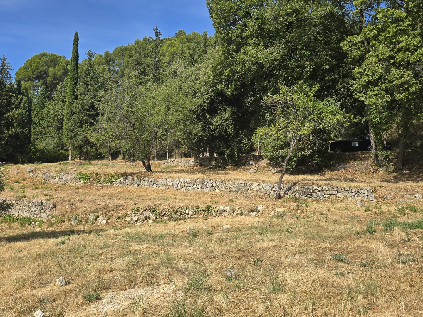 Terrain à vendre - 8350m2 - Fayence (83440)