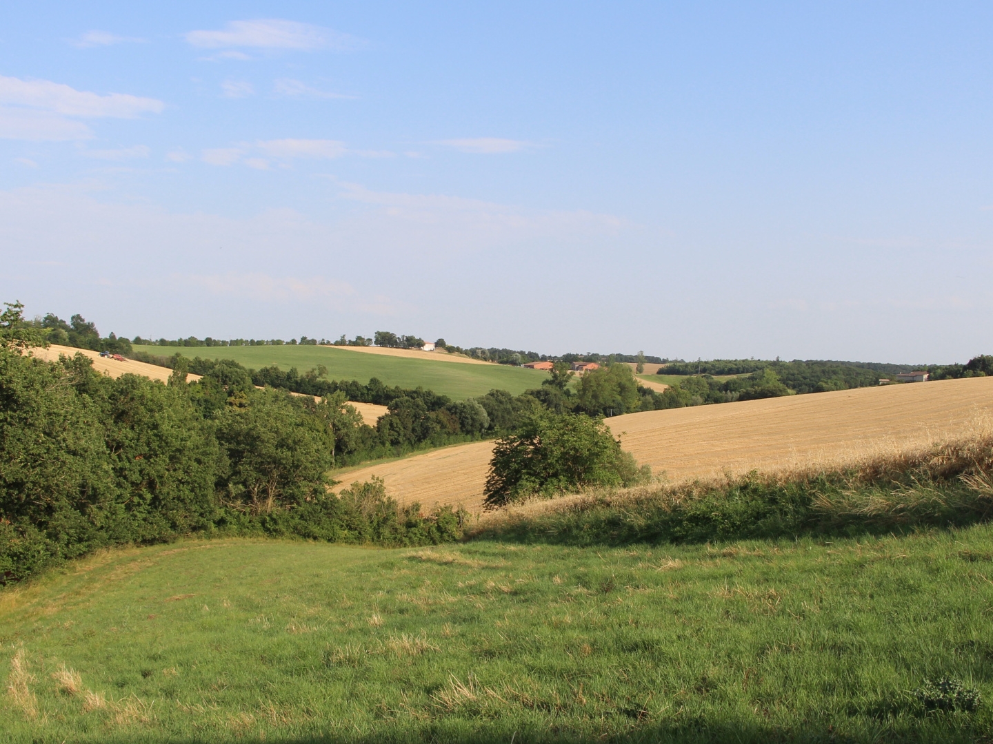 Terrain en individuel 60000 m²