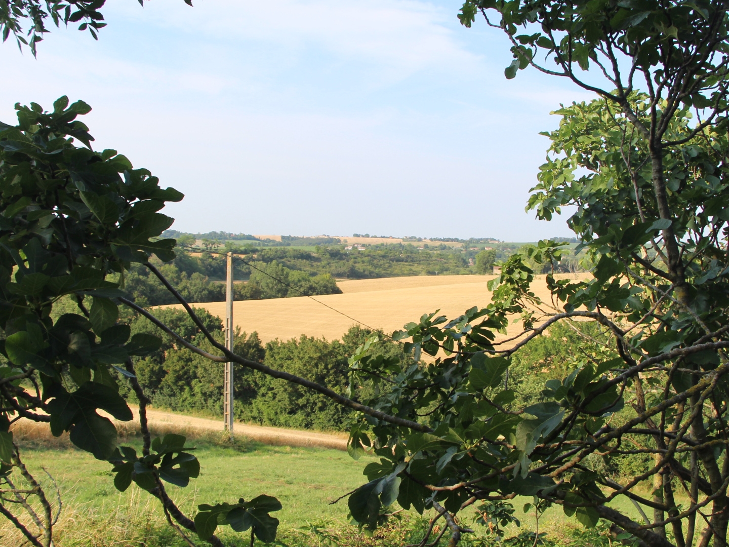 Terrain à vendre - 60000m2 - Caraman (31460)
