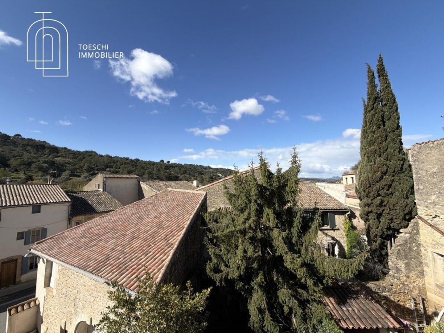 Ensemble immobilier avec dépendance et jardin - Centre village