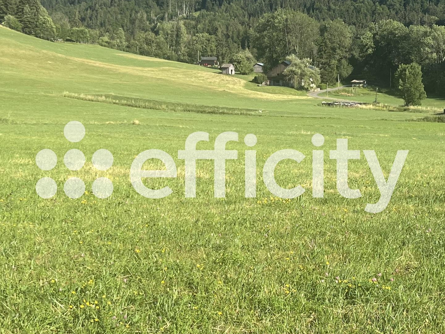 Terrain 1245 m²