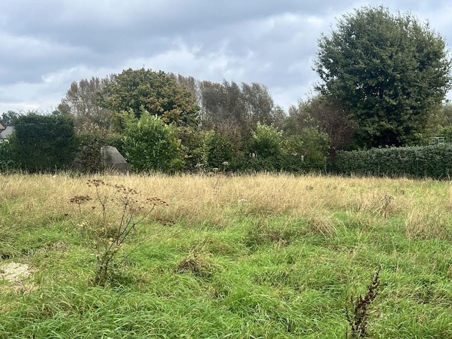 Terrain 1000 m²