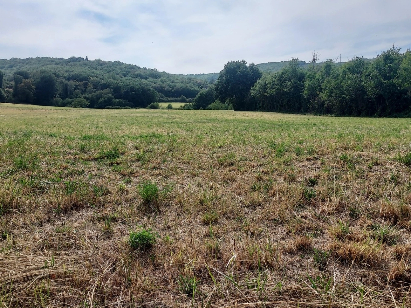 Terrain 1975 m²