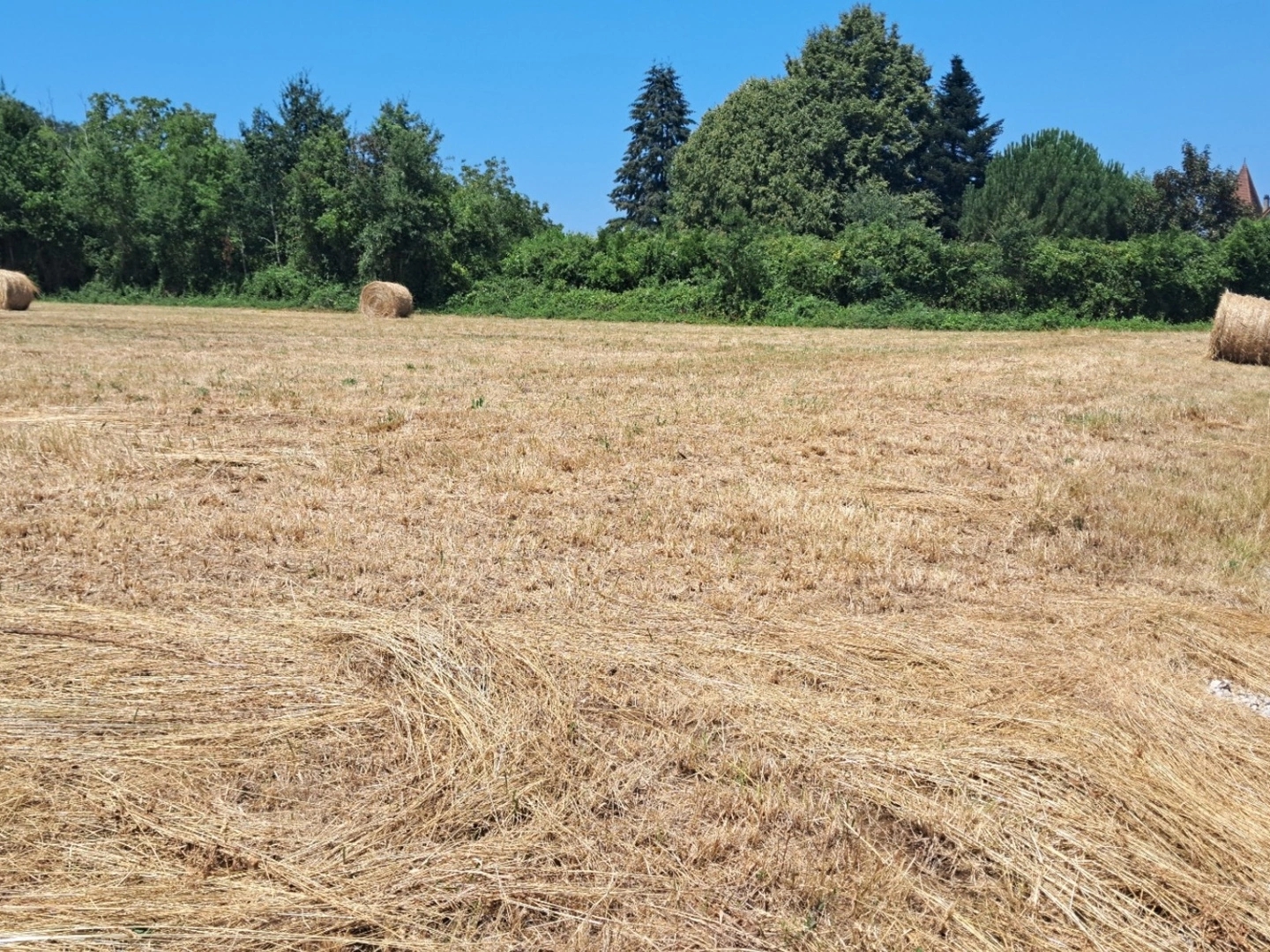 Terrain à vendre - 1975m2 - Lanzac (46200)