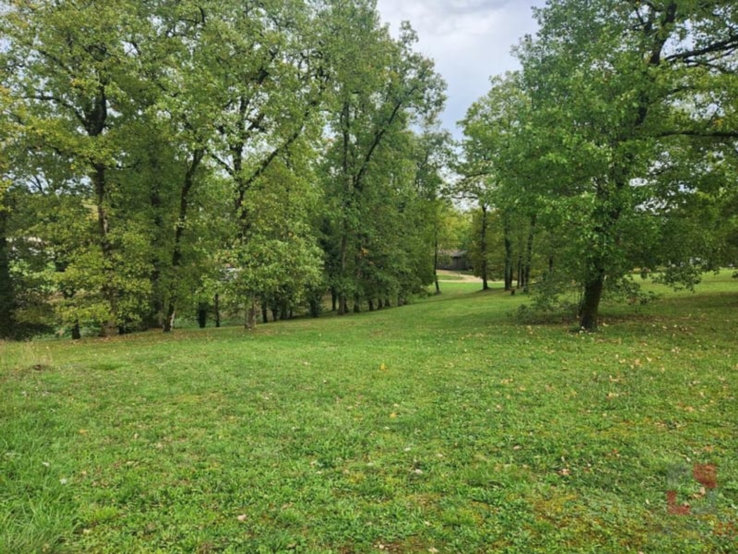 Terrain à vendre - 3208m2 - Mauroux (46700)