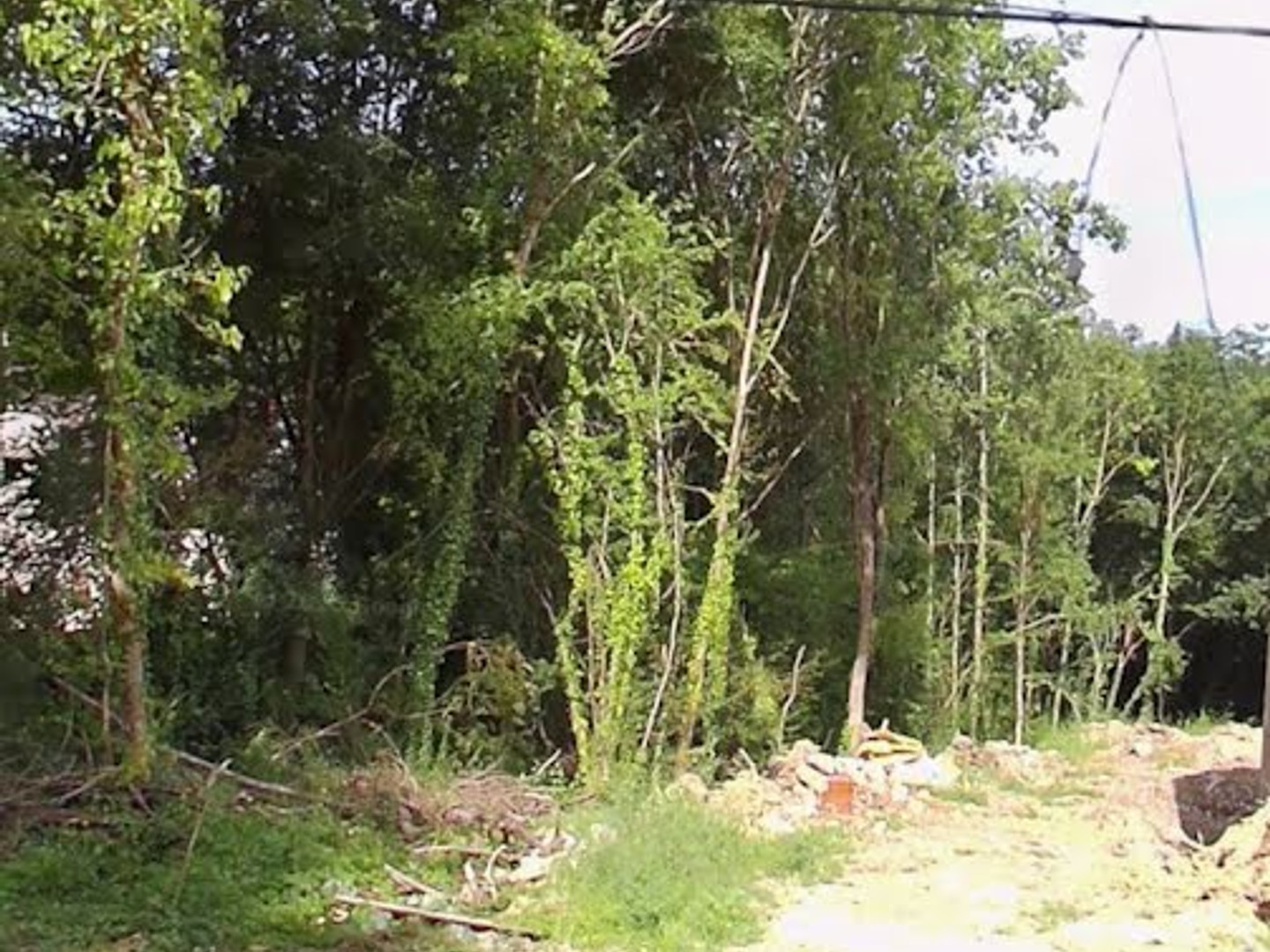 Terrain 1004 m²