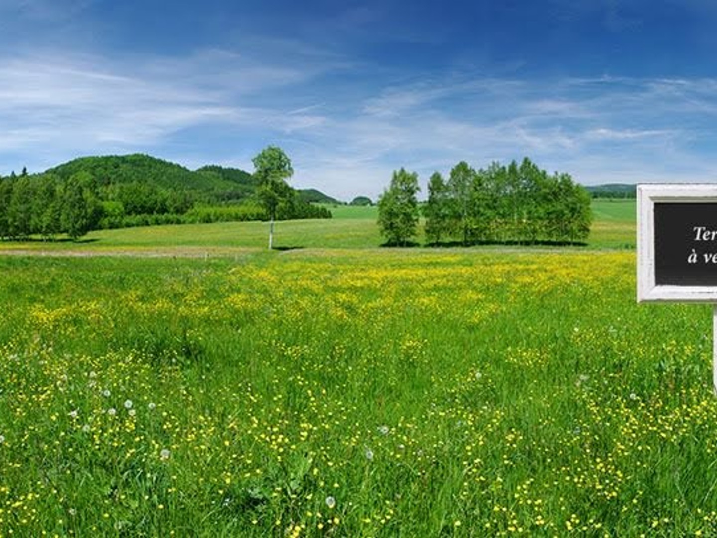Terrain 772 m²