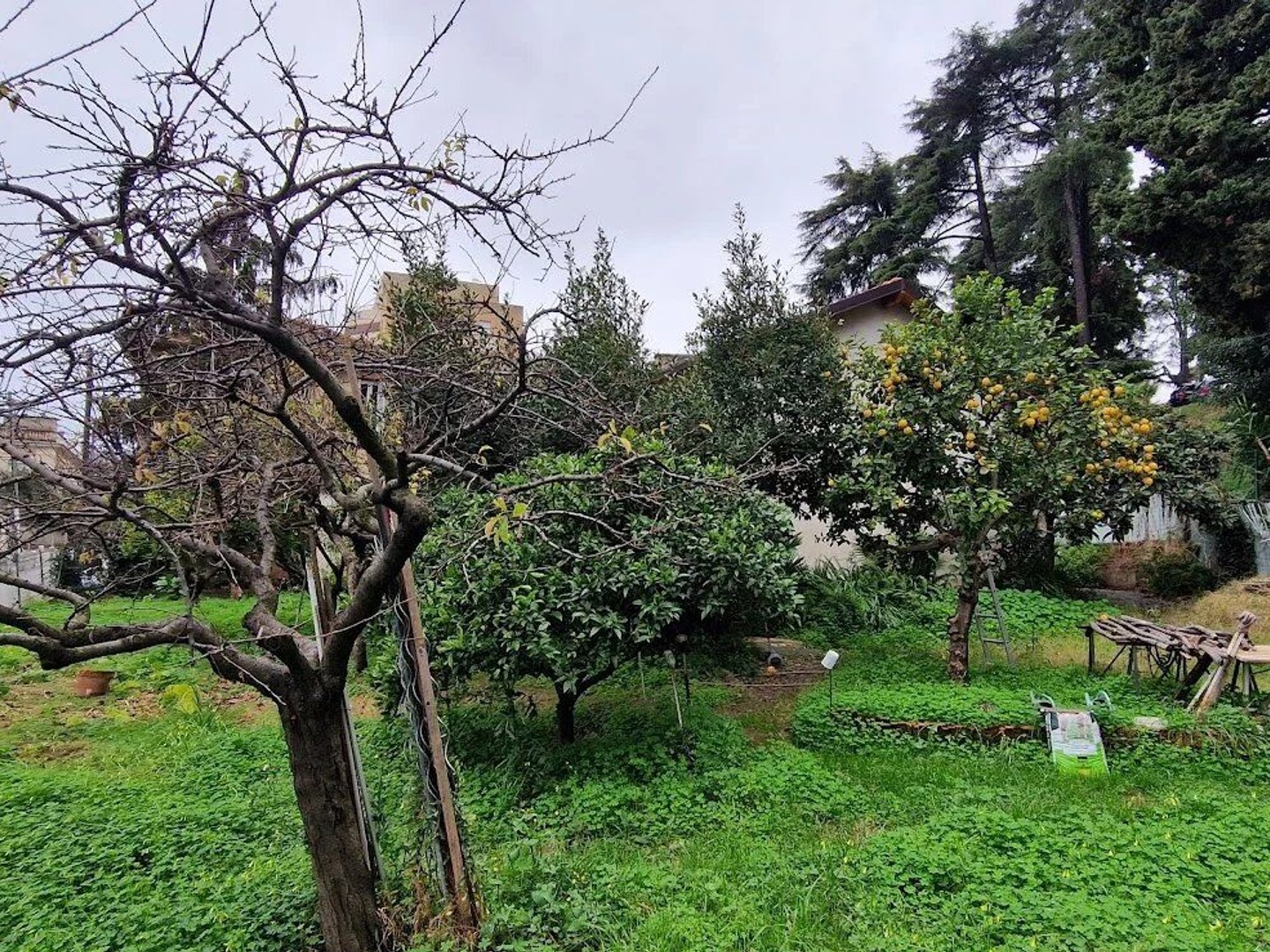 Nice sainte marguerite