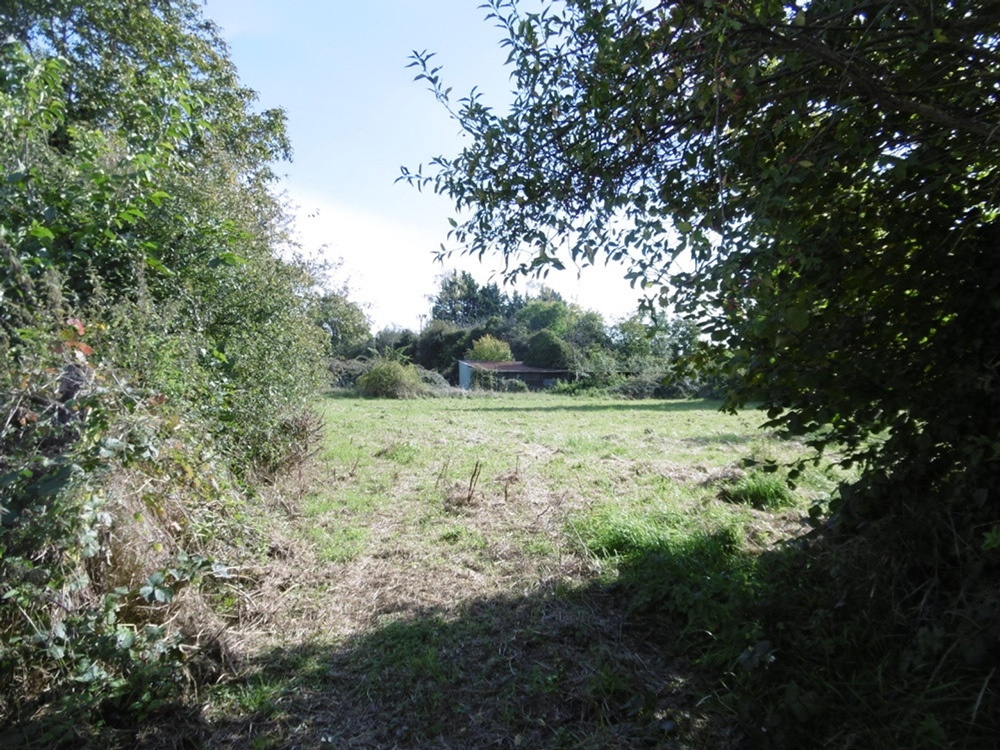 Terrain à vendre - Flavigny (18350)