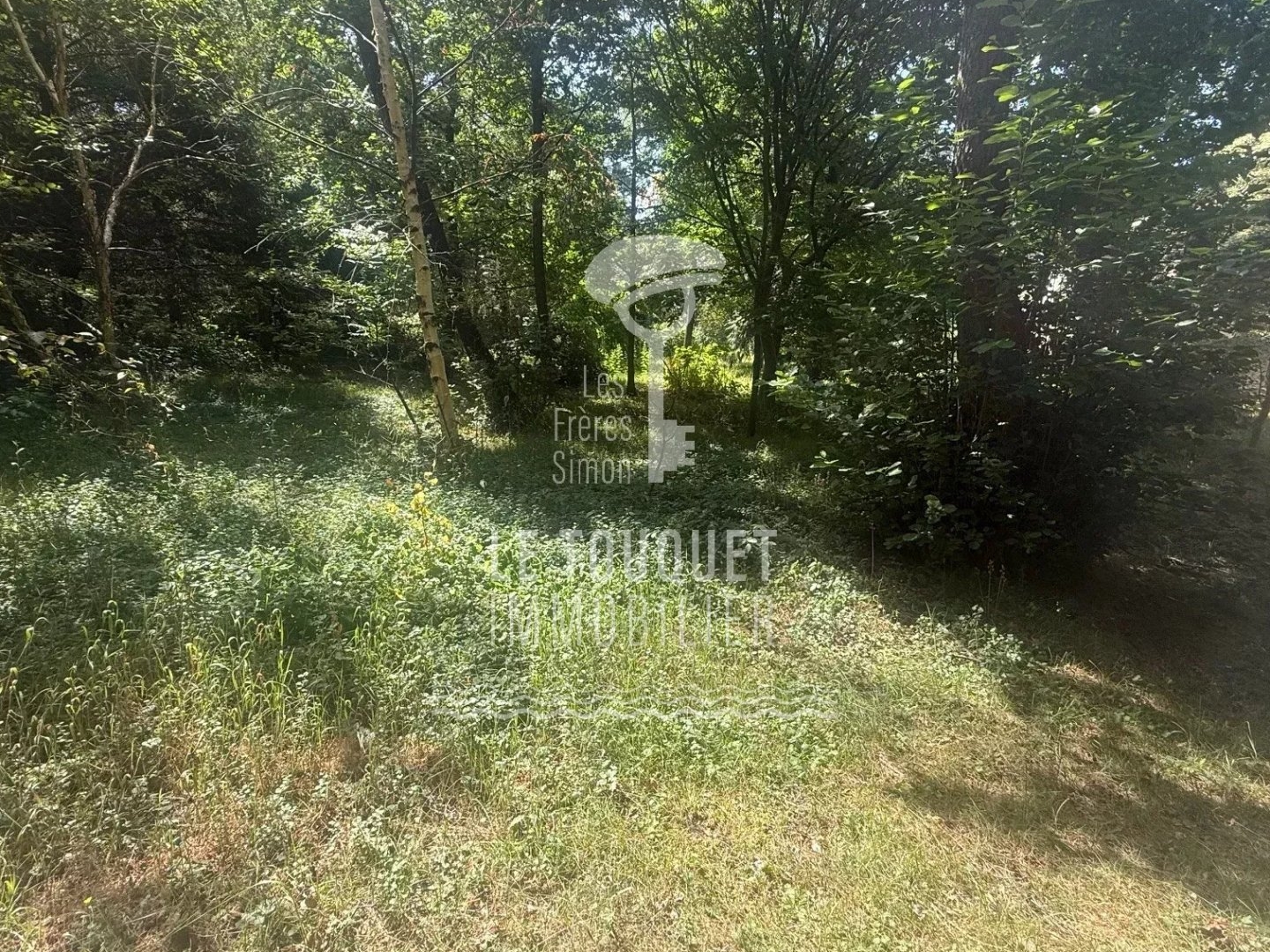 Maison à vendre - 800m2 - Merlimont (62155)