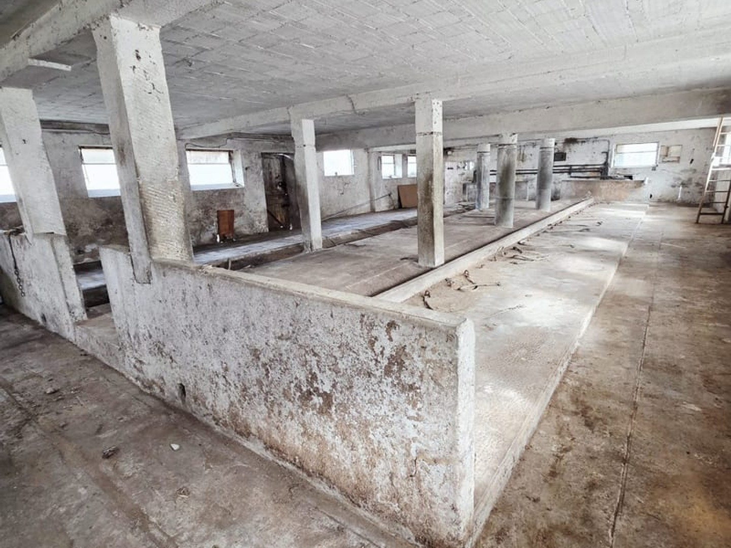 Maison à vendre - 1 pièce - 462m2 - Bliesbruck (57200)