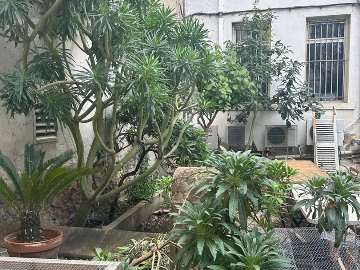 Immeuble à vendre - 544m2 - Hyères (83400)