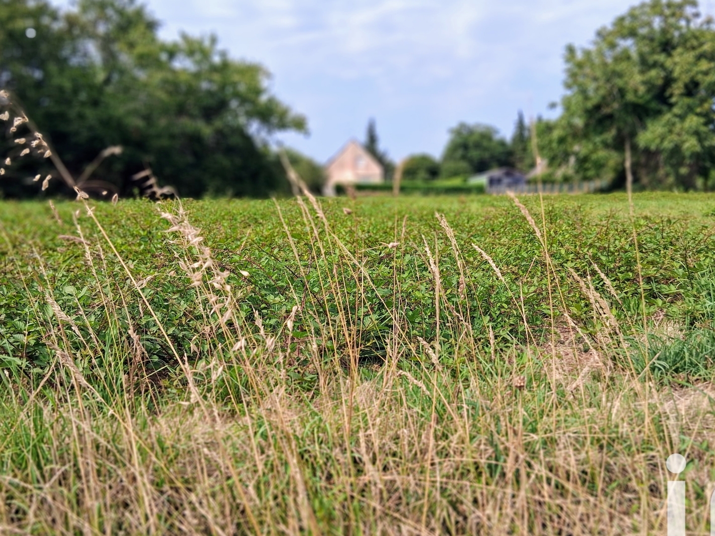 Terrain 4889 m²
