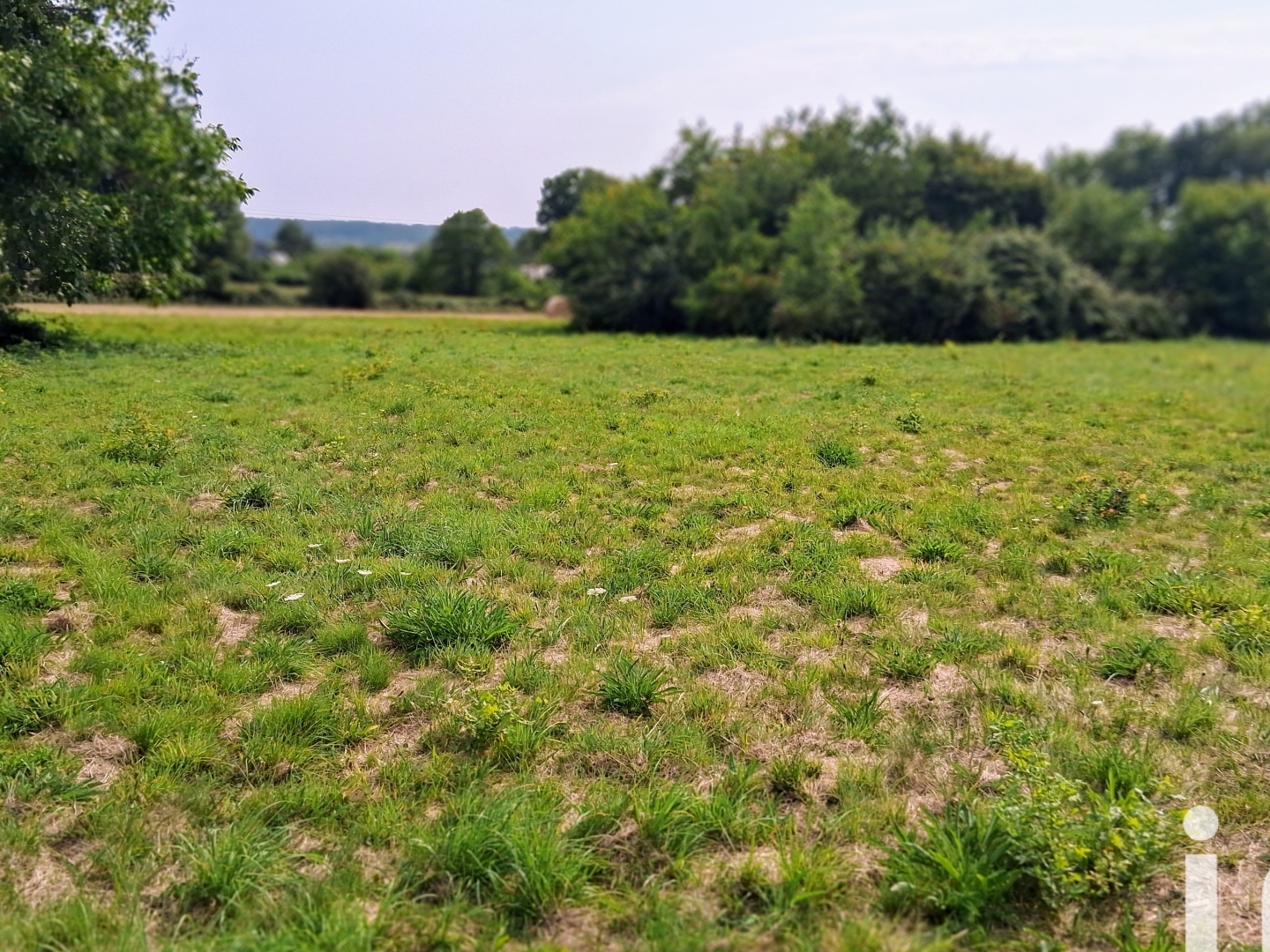 Terrain à vendre - 4889m2 - Saint-Vincent-Sur... (56350)