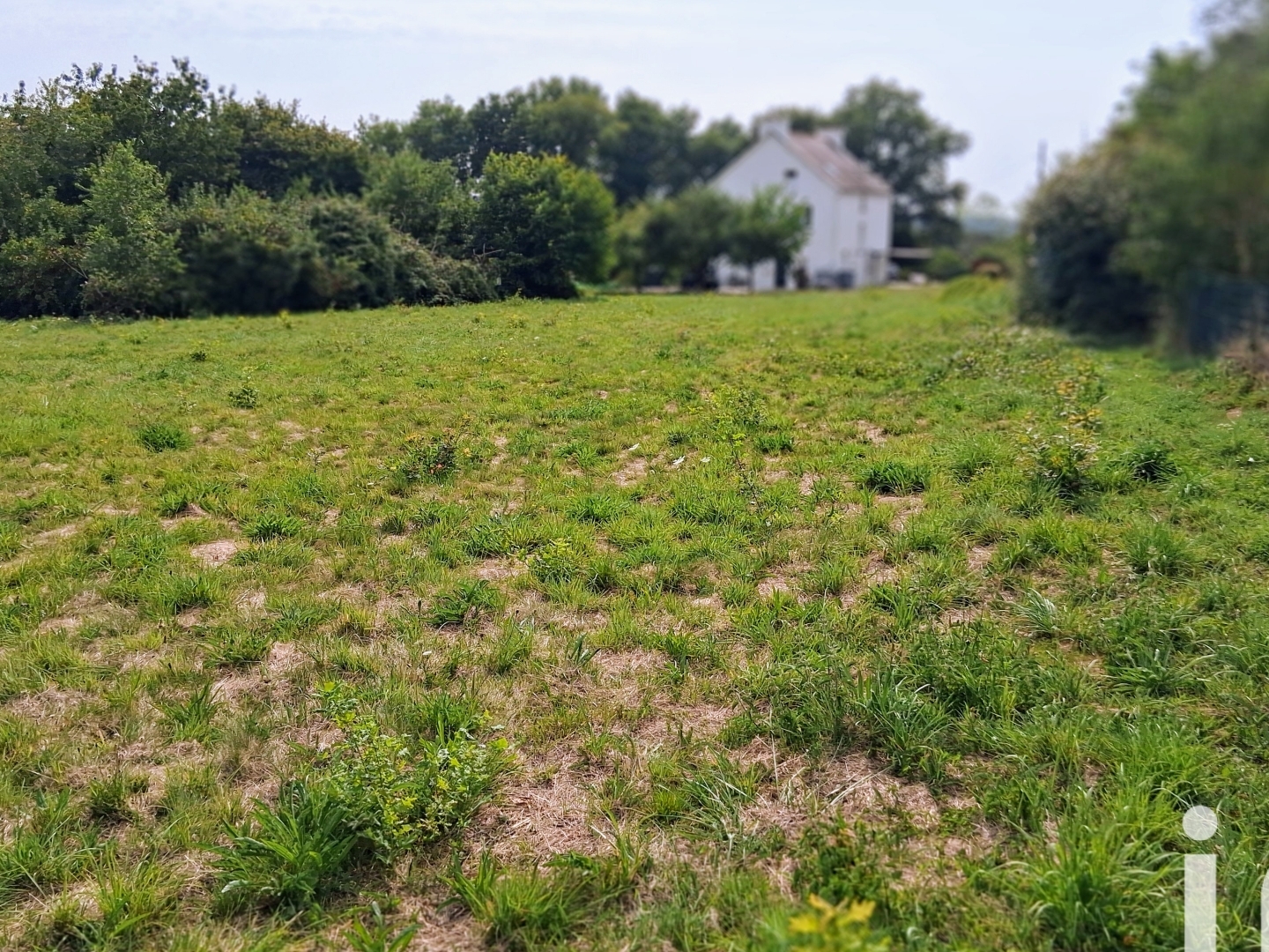 Terrain à vendre - 4889m2 - Saint-Vincent-Sur... (56350)