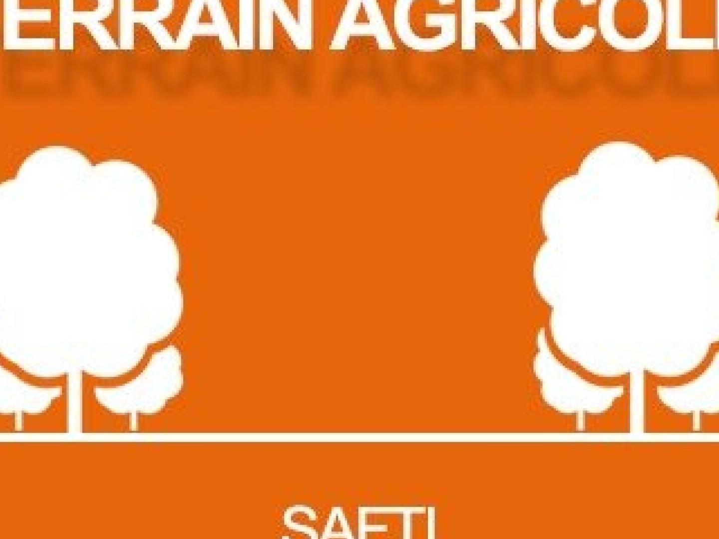 SOUS OFFRE -Terrain Agricole de 6,56 Hectares à Vendre à Saint-Paul - 13 000 €