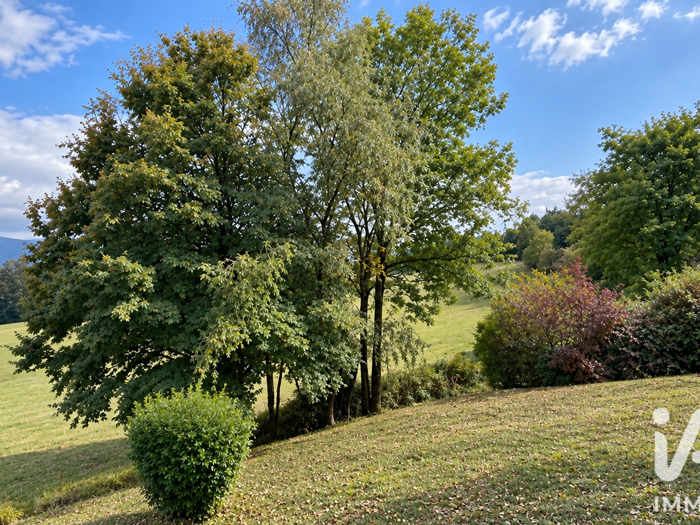 Maison à vendre - 5 pièces - 103m2 - Miribel-Lanchâtre (38450)