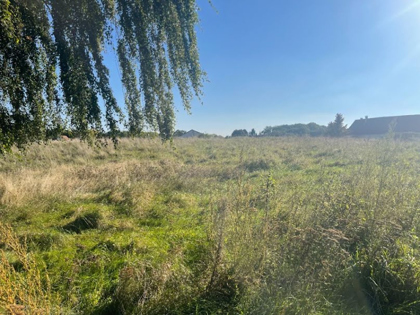 Terrain 350 m²