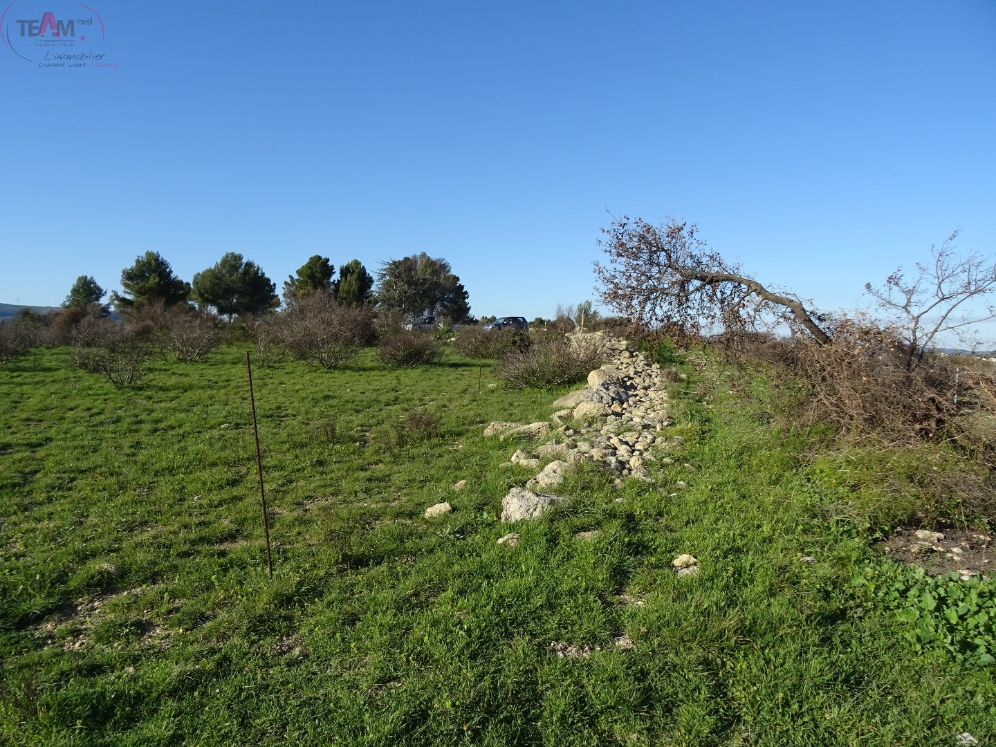 Terrain agricole