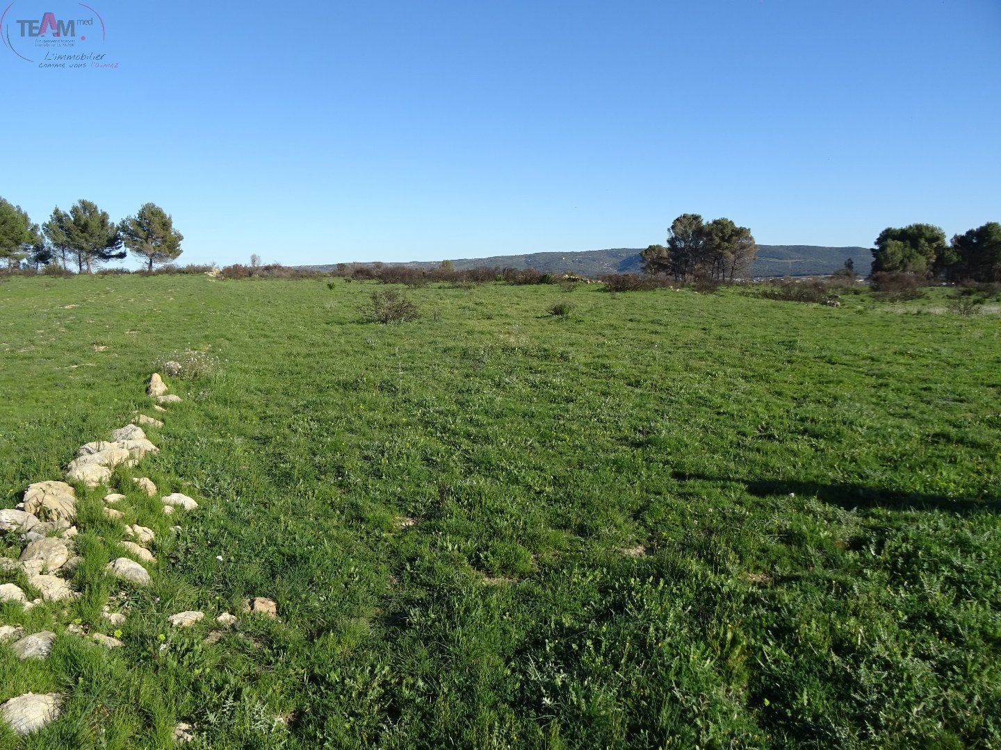 Terrain à vendre - 5000m2 - Montbazin (34560)