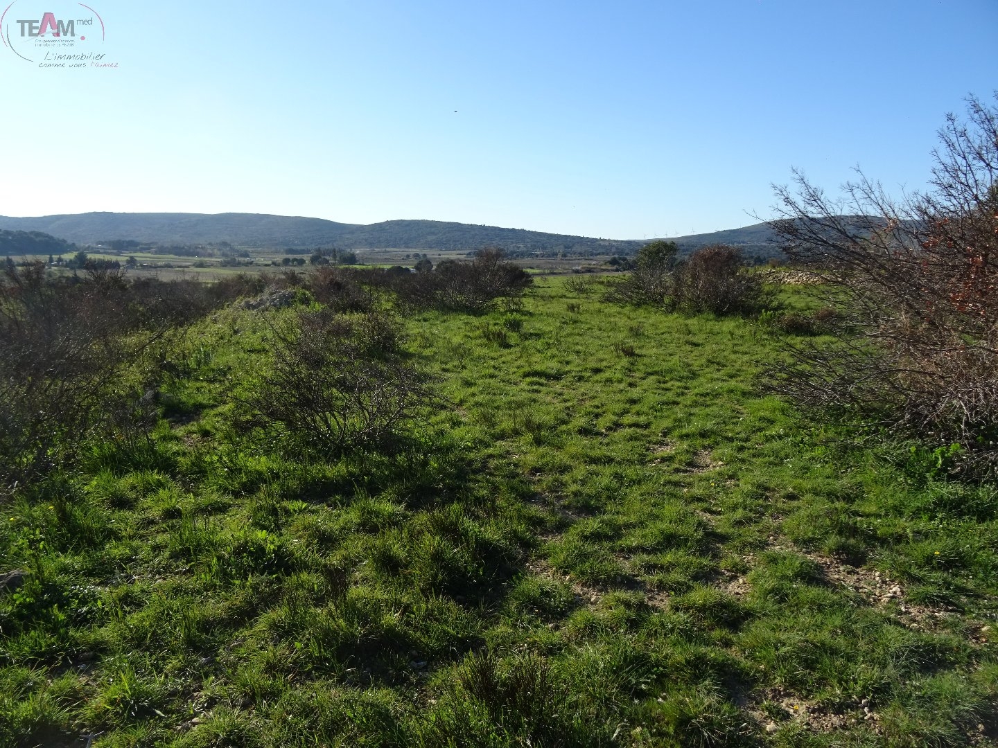 Terrain à vendre - 5000m2 - Montbazin (34560)