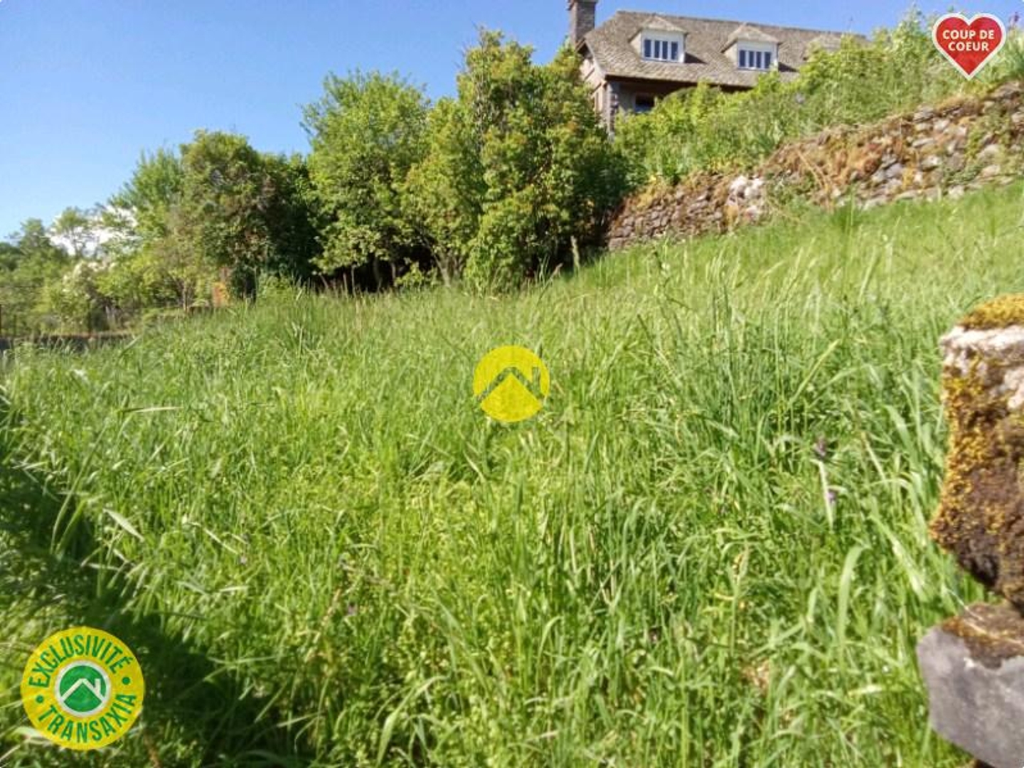 TERRAIN