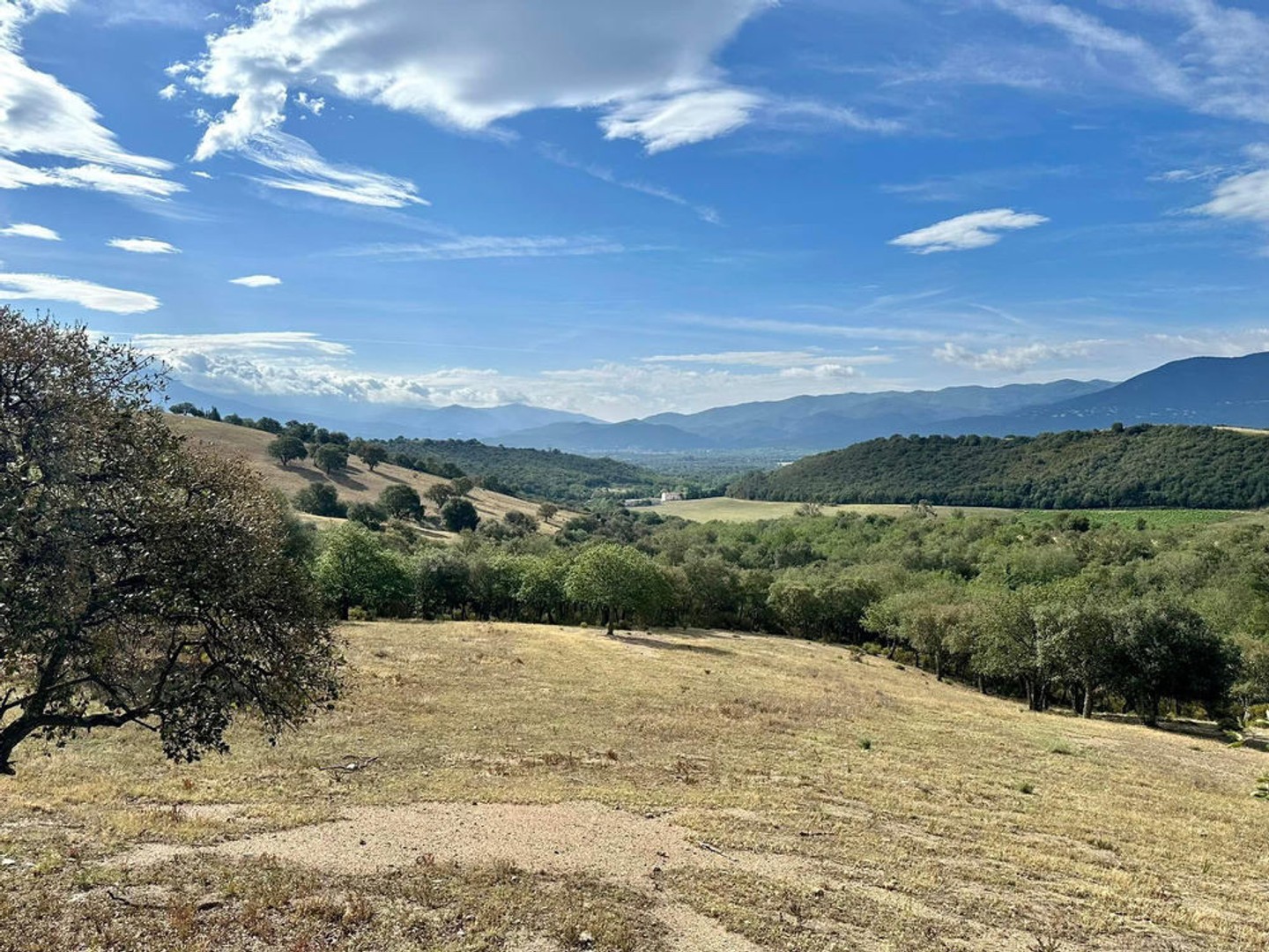 Terrain 22 800 m2 joli potentiel