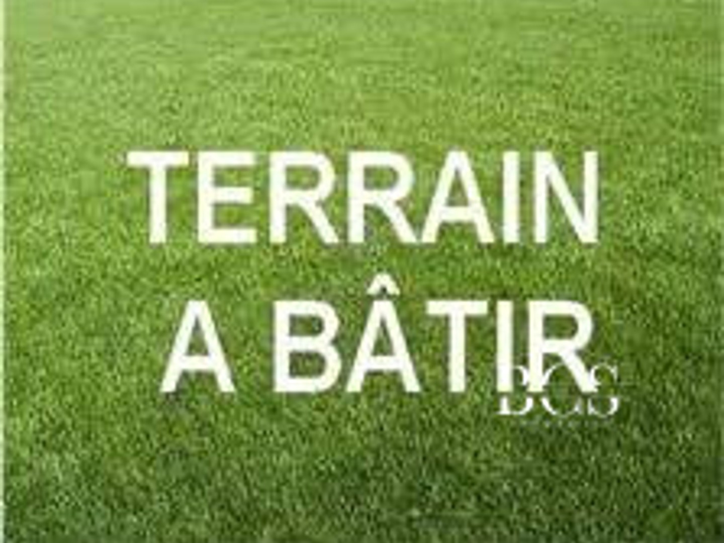 Terrain
