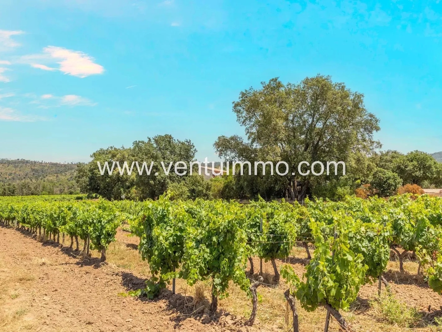Terrain à vendre - 14400m2 - La Garde-Freinet (83680)