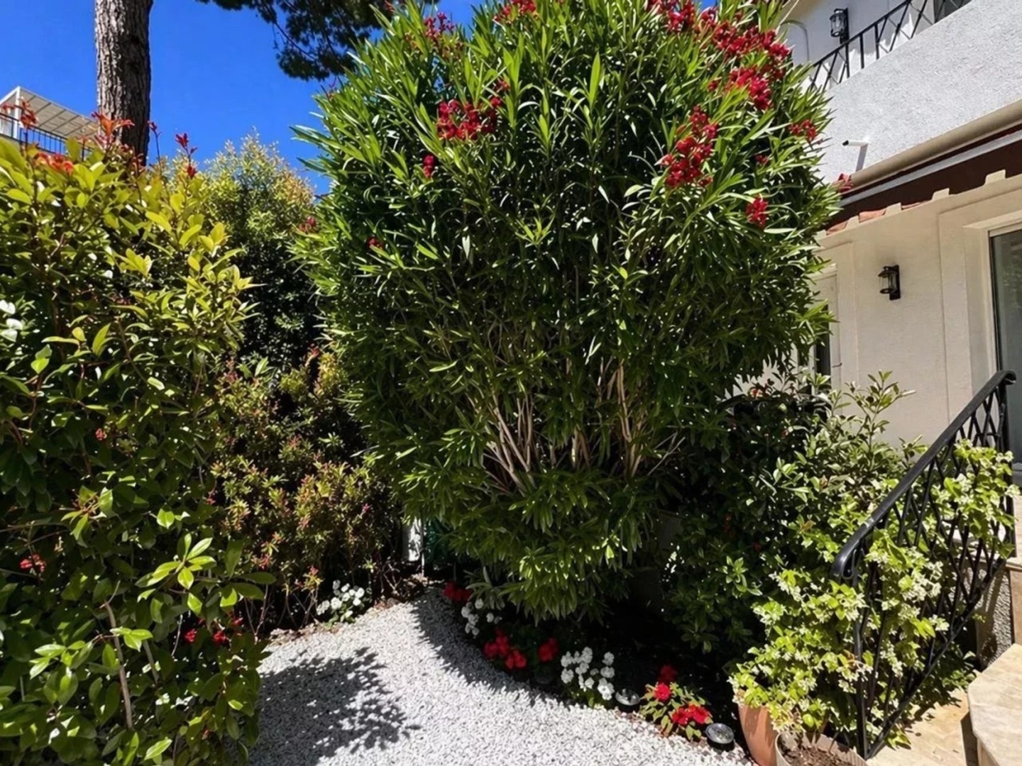 Maison à vendre - 4 pièces - 124m2 - Cannes (06400)