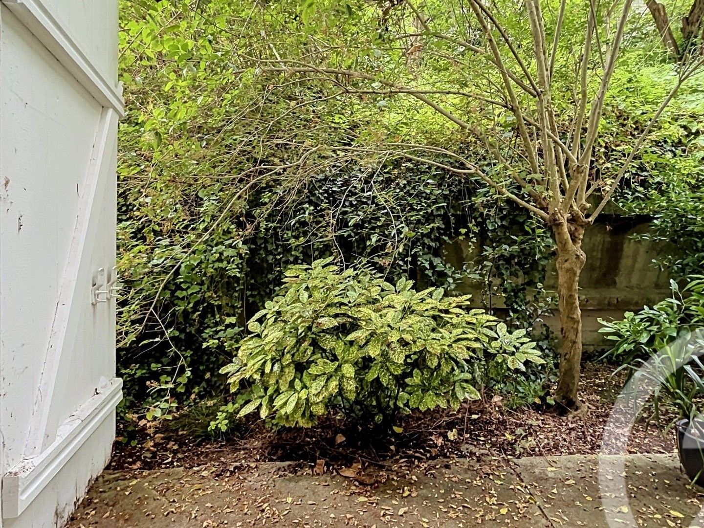 Appartement 1 pièce 22 m²