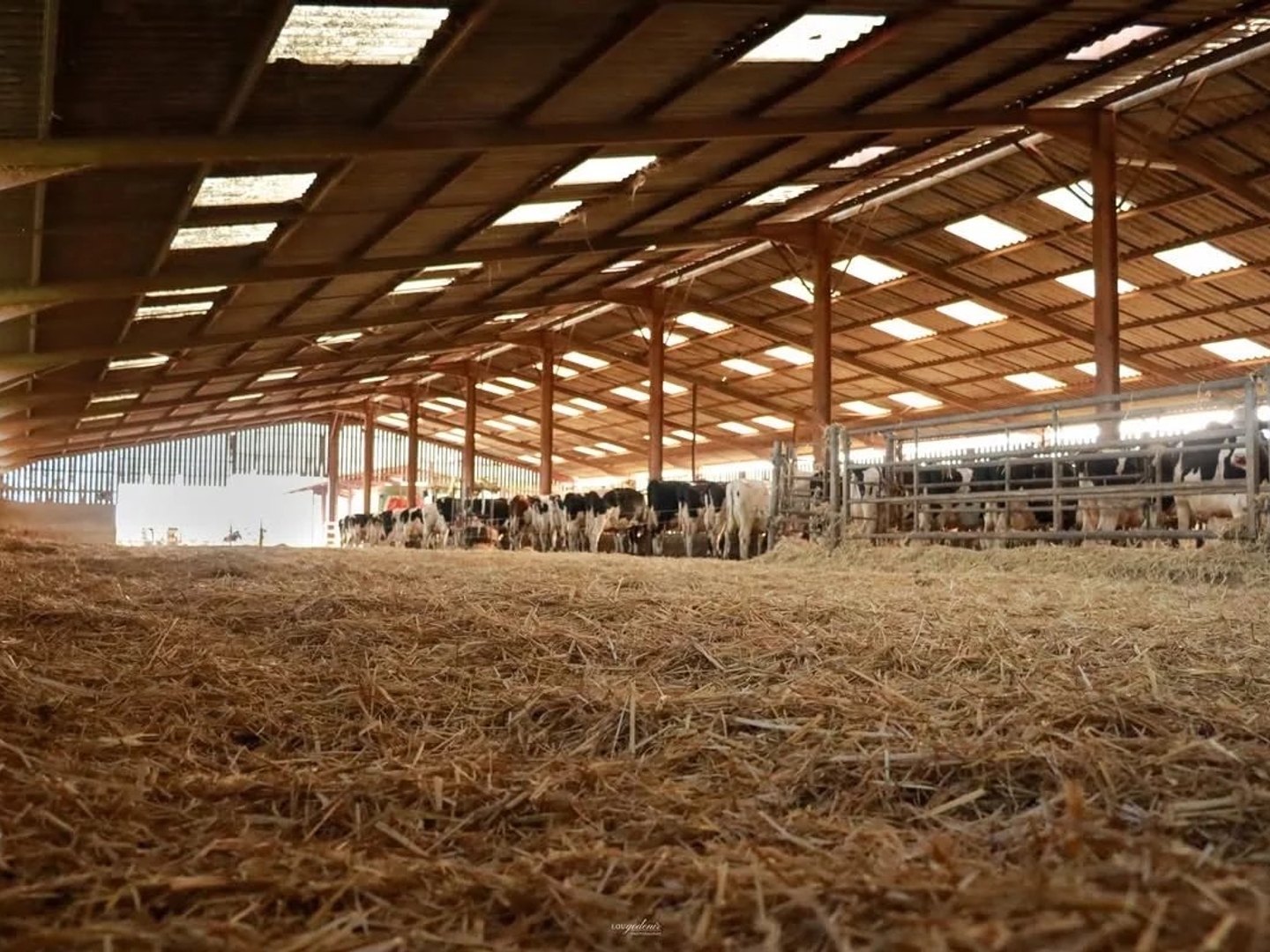 ???????? DOMAINE AGRICOLE D'EXCEPTION - EXPLOITATION LAITIÈRE CLÉ EN M