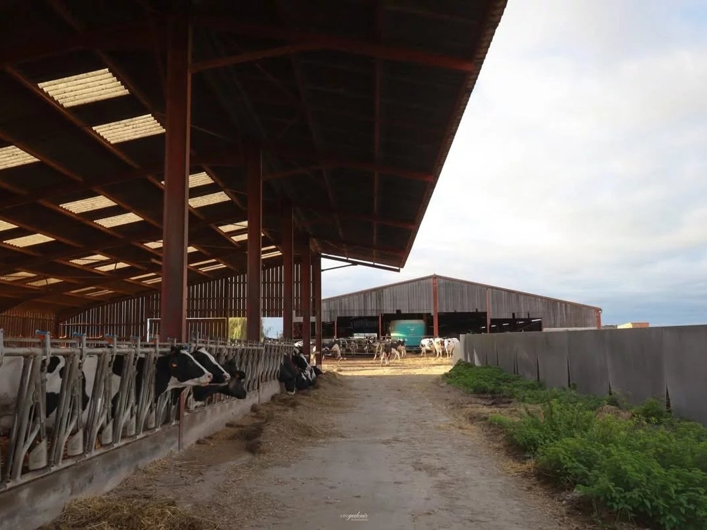 Locaux à vendre - Fresnes-En-Woëvre (55160)
