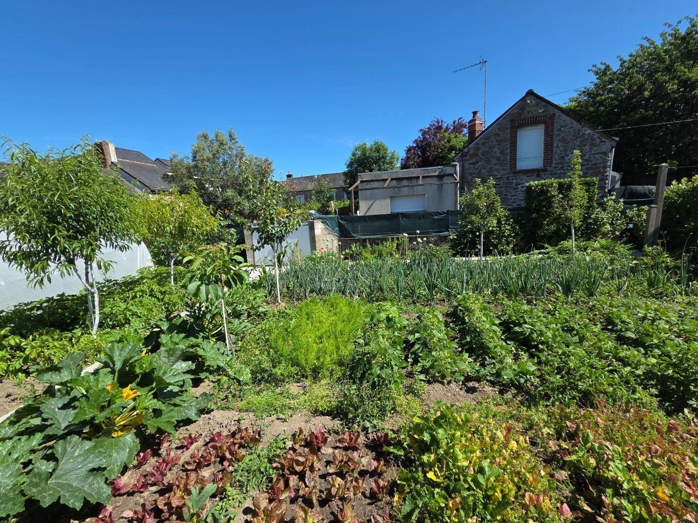 Maison à vendre - 4 pièces - 64m2 - Mayenne (53100)