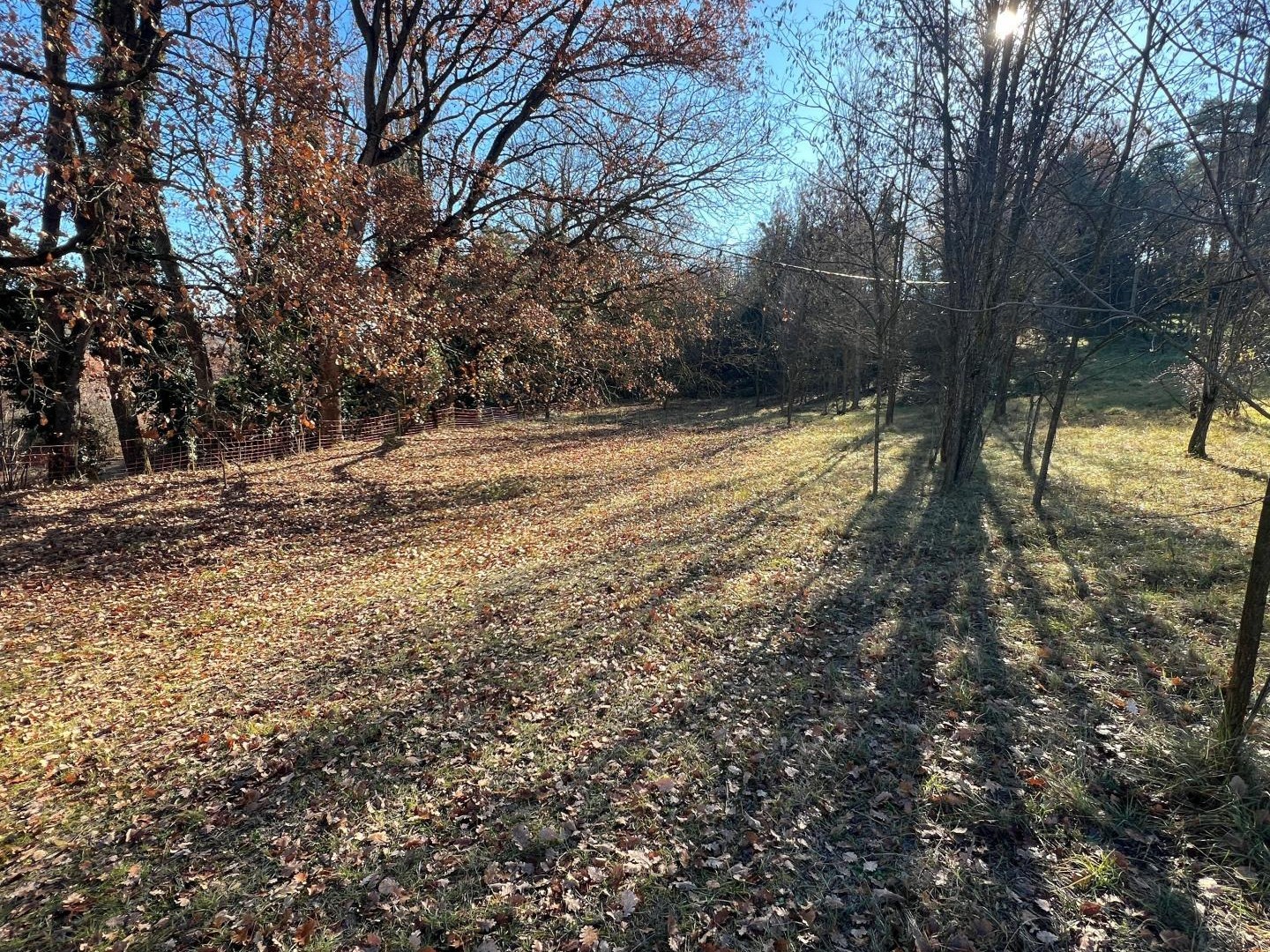 Terrain agricole à Forcalquier
