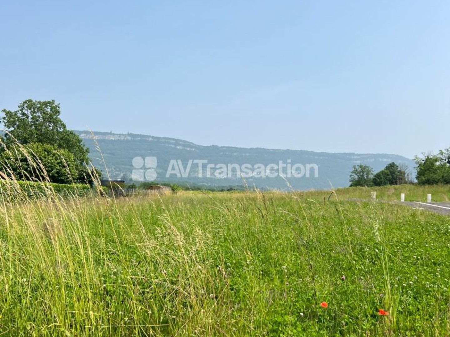 Terrain à vendre - 666m2 - Belley (01300)
