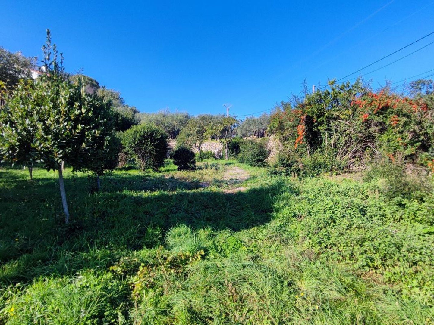 Terrain à Vendre avec vue dominante panoramique!