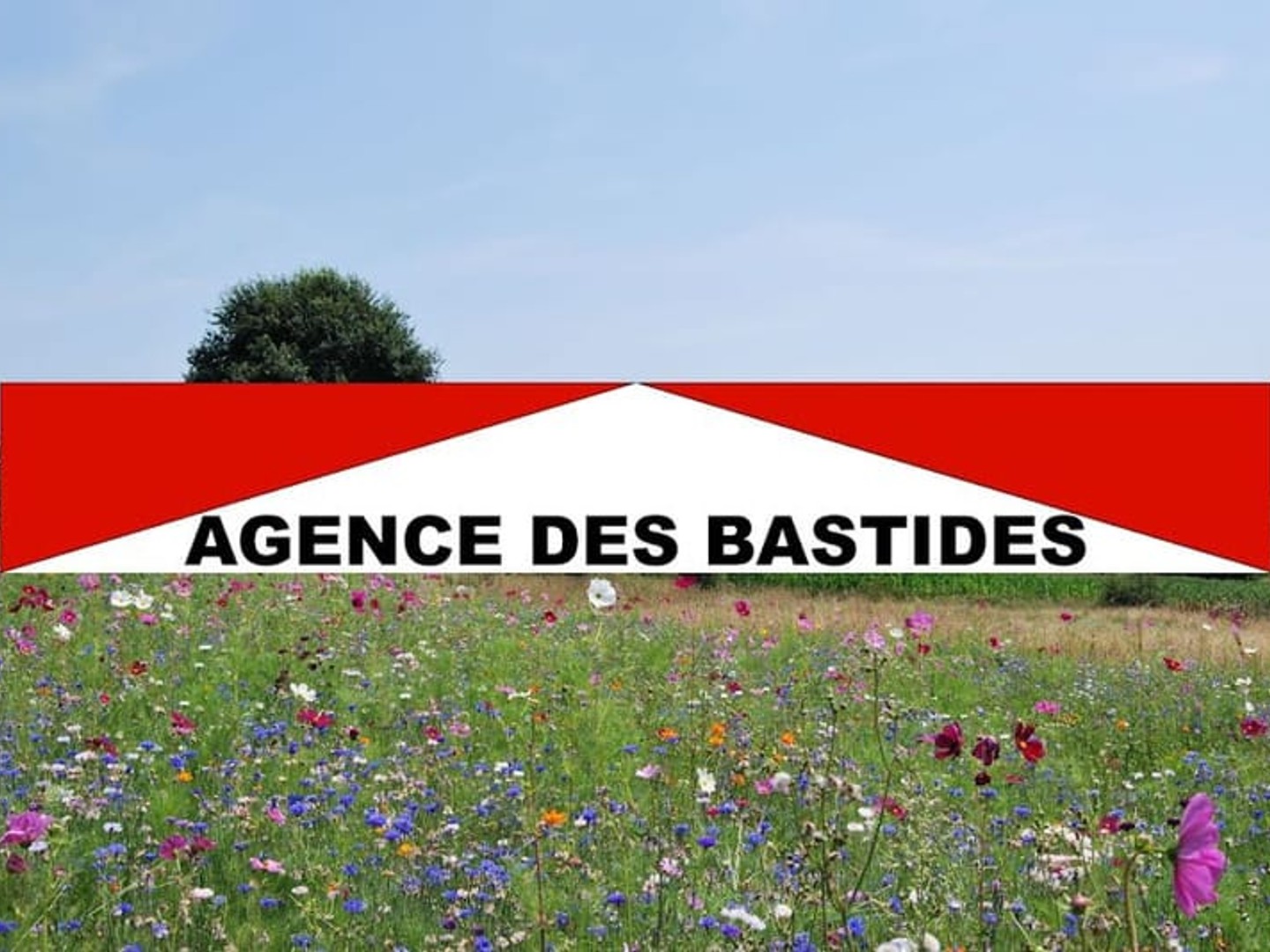 Terrain 1615 m²