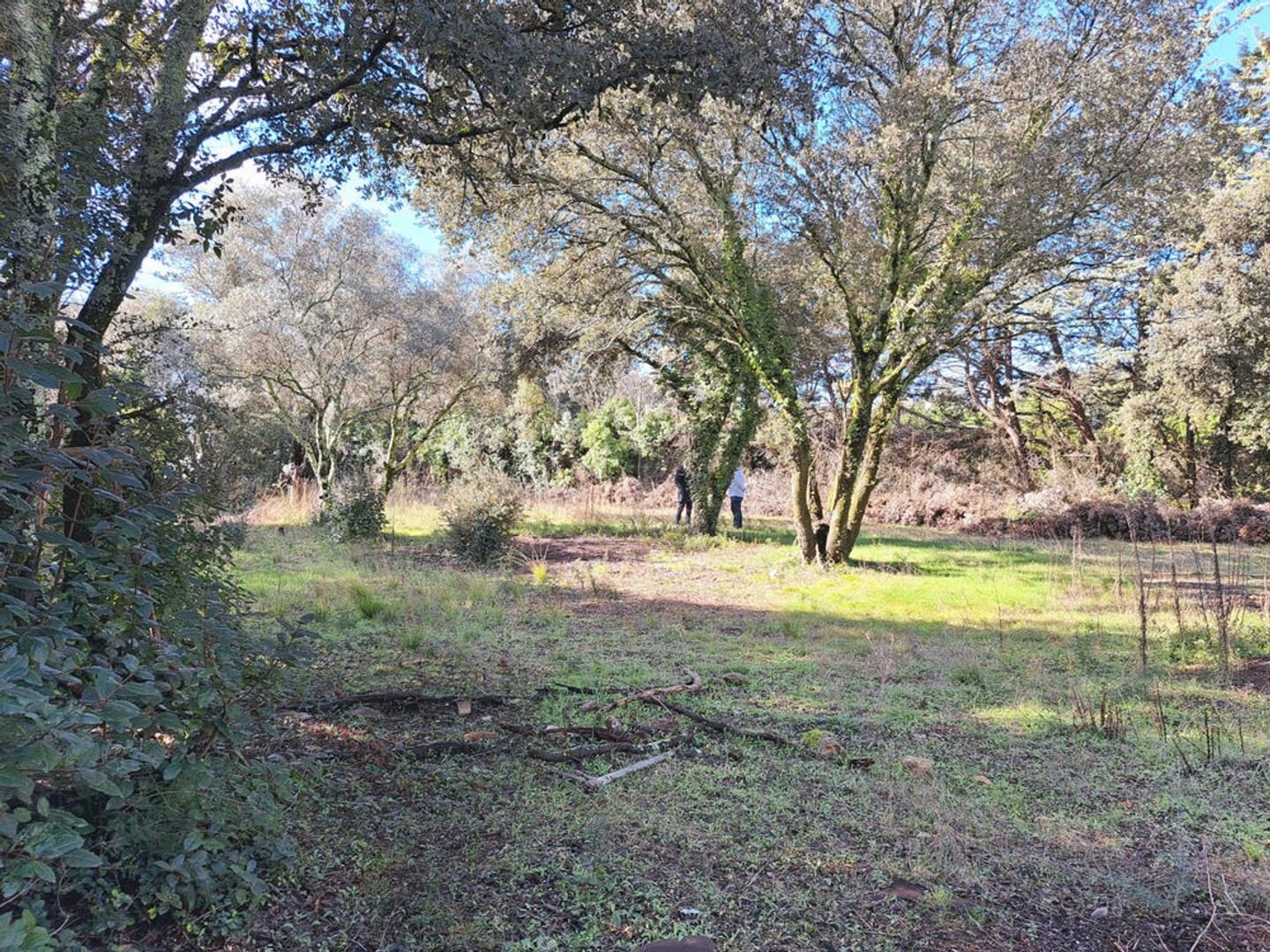 TERRAIN A BATIR VIABILISE